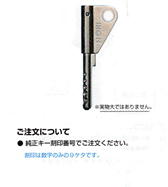 HORIトライディント